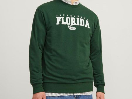 JACK AND JONES FLORIDA SWEATSHIRT Online