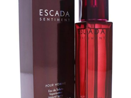 Sentiment Eau De Toilette Online now